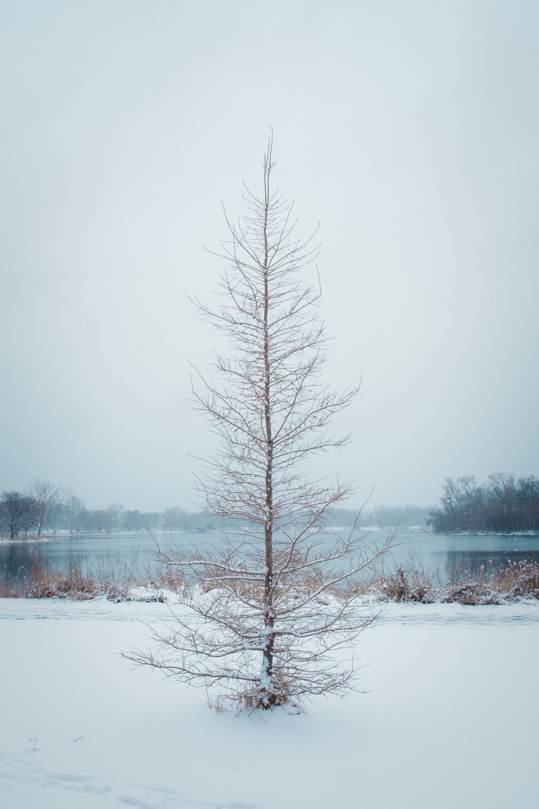 Dscf2188
