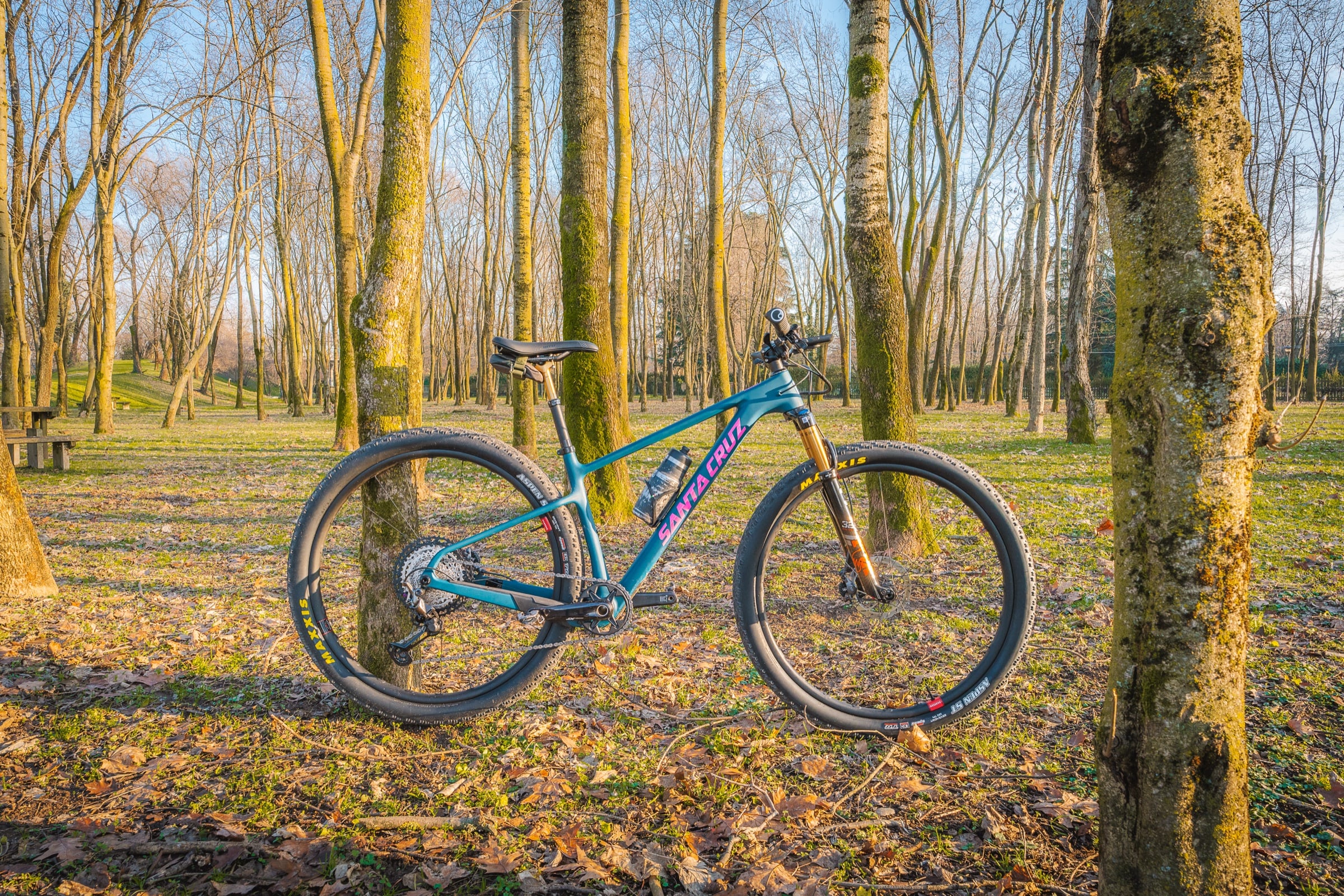 Mountain bike leaning against a tree in an autumn forest