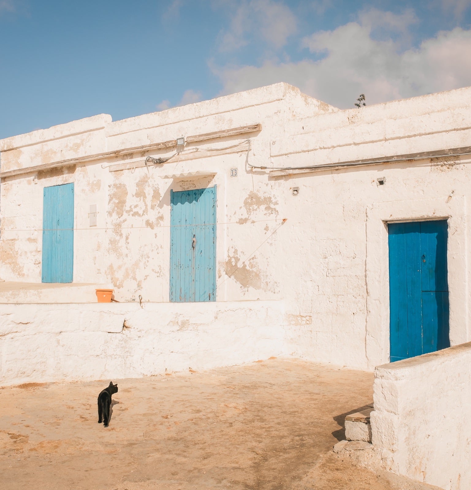 A black cat in a sunlit whitewashed courtyard with blue doors